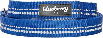 Blueberry Pet 3M Reflective Pastel Color Dog Leash with Soft & Comfortable Handle, 5 ft x 5/8", Navy, Small, Leashes for Dogs