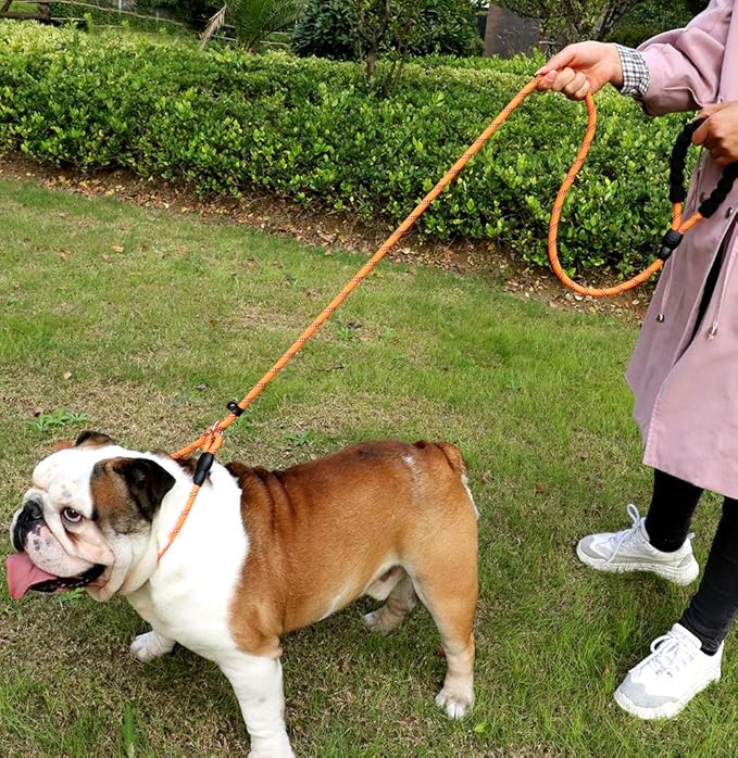 TagME 6ft Slip Dog Lead, No Pull Reflective Training Leash with Padded Handle, Professional Rope P-Leash for Small Medium Large Dogs, Heavy Duty Correction Lead for Walking & Training (Orange)