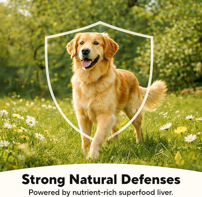 Dave's Pet Food Grain Free Wet Dog Food (95% Beef & Beef Liver), Made in USA Single-Source Protein, Limited Ingredients Added Vitamins & Minerals, 12.5 oz Cans (12 Pack)