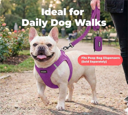 Best Pet Supplies Voyager Reflective Dog Leash or Collar with Neoprene Handle, for Small, Medium, and Large Breed Puppies, Cute and Heavy Duty for Walking, Running and Training - Purple (Leash), L