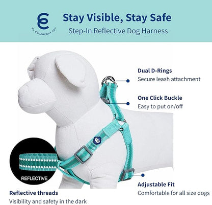 Blueberry Pet Essentials Reflective Back to Basics Matching Dog Harness and Leash Set, Minty Green, Adjustable Harness with 5 ft Leash for Small Dogs