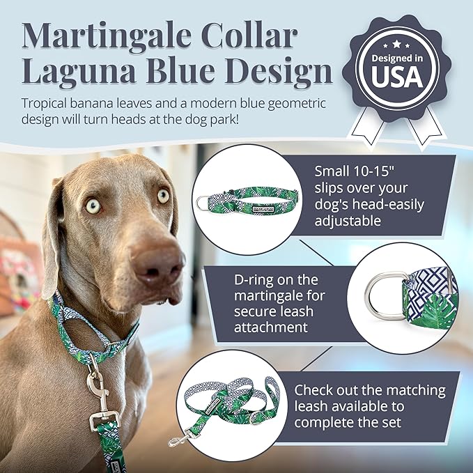 Lucky Love Dog Martingale Collar, Premium No Slip Martingale Collar for Small Boy Dogs, Great for Whippets, Greyhounds, and More (Small, Blue Laguna)