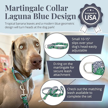Lucky Love Dog Martingale Collar, Premium No Slip Martingale Collar for Small Boy Dogs, Great for Whippets, Greyhounds, and More (Small, Blue Laguna)