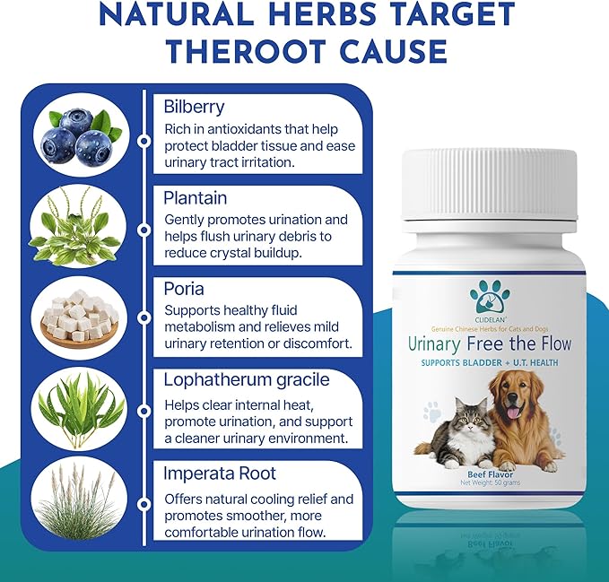 Dog & Cat Bladder Support & Kidney Stone Relief, Bladder Kidney Stones Dissolver, Urinary Tract Supplements for Pet, Herbal Powder for Dog UTI Treatment & CatUrinary Health,Urinary Free The Flow,50g