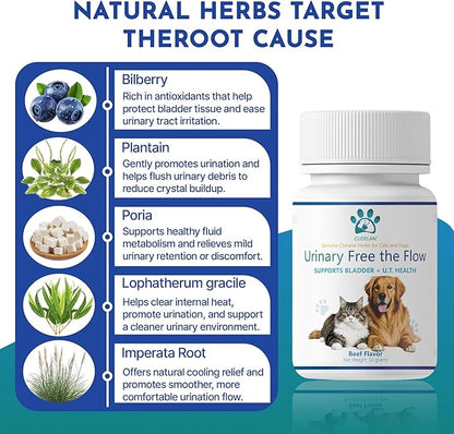 Dog & Cat Bladder Support & Kidney Stone Relief, Bladder Kidney Stones Dissolver, Urinary Tract Supplements for Pet, Herbal Powder for Dog UTI Treatment & CatUrinary Health,Urinary Free The Flow,50g