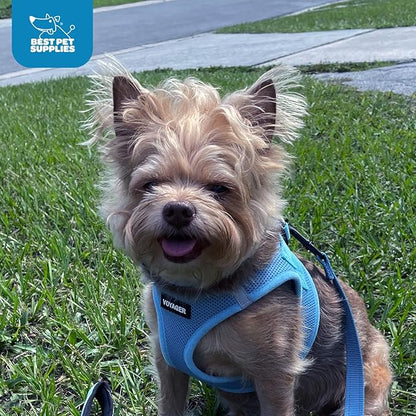 Best Pet Supplies Voyager Step-in Air Harness - All Weather Mesh, Reflective, No Pull Harness for Dogs, Cats - Secure with Hook & Loop Fastener, Buckle, Double D-Rings - Baby Blue, M