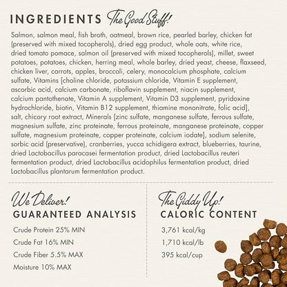 Fromm Four-Star Nutritionals Salmon A La Veg Dog Food - Premium Dry Dog Food - Salmon Recipe - 4 lb