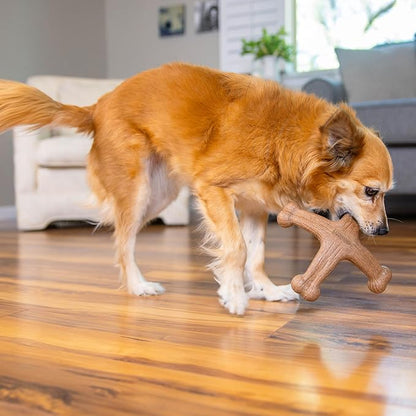 Pupstages Dogwood Jack Dog Chew Toy – Real-Wood Blend, Bacon Scented, 4 Chewable Ends, Moderate Chewers, Large, 7.5" x 2"