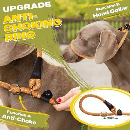 Fida Durable Slip Lead Dog Leash, 6 FT x 3/8" Heavy Duty Dog Loop Leash, Comfortable Strong Rope Slip Leash for Small Dogs and Puppies, No Pull Pet Training Leash with Highly Reflective (3/8", Orange)