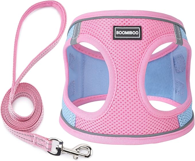 Dog Harness with Leash Set, No Pull Adjustable Reflective Step-in Puppy Pet Vest Harnesses for Small Medium Large Dogs and Cats,Pink Green XL