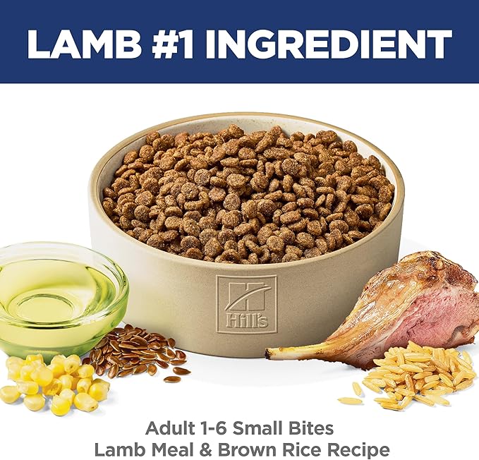 Hill's Science Diet Adult 1-6 Small Bites Dry Dog Food, Lamb Meal & Brown Rice, 15.5 lb. Bag