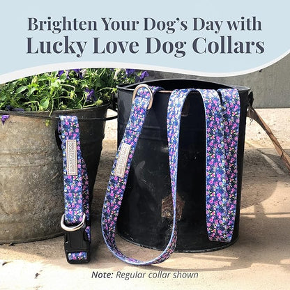 Lucky Love Dog Martingale Dog Collar & Leash - Adjustable, No-Slip, Durable, Comfortable, Soft Webbing, & Stylish Patterned Collar & Leash Set for Male and Female Dogs - Primrose Combo, Large