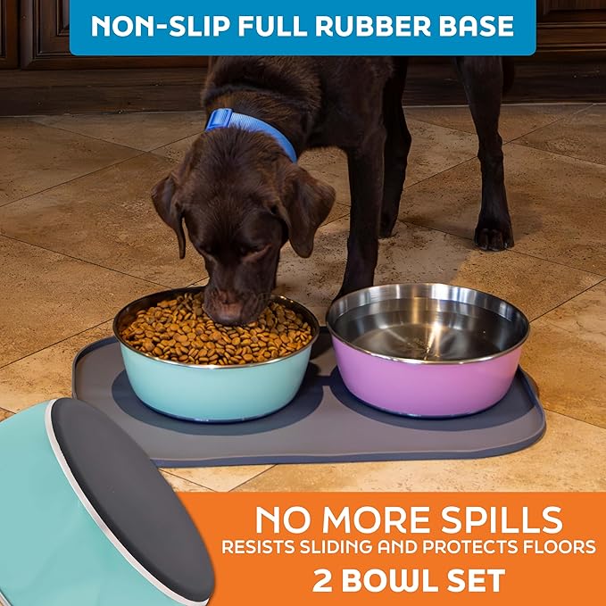 Master Pet Supply Stainless Steel Dog Bowls Set of 2 (64 Oz Each) with Non-Slip Rubber Base - Aqua Sky - Basic Dog Food Bowl Water & Food Bowls for Small Medium Large Dogs & Cats, Metal Dish