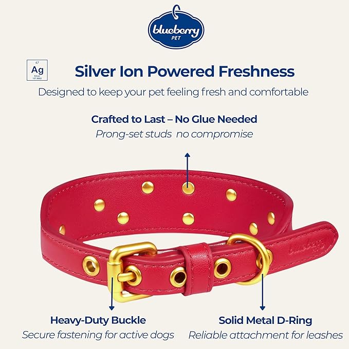 Blueberry Pet Premium Embossed Red Glam Silver-Powered Freshness Microfiber Leather Dog Collar with Gold Studs