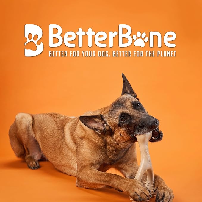 BetterBone - Hard Density - Ideal for Strong to Aggressive Chewers - All-Natural, Nylon-Free Dog Chew Toys - Non-Toxic, Promotes Dental Health, Splinter-Resistant, Sustainably Made