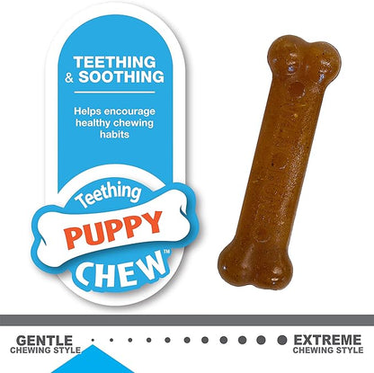 Nylabone New Puppy Starter Kit, Puppy Teething Toys, Chew Bones for Puppies, Peanut Butter & Chicken Flavor, X-Small Dogs - Up to 15 lbs., 2 Pack