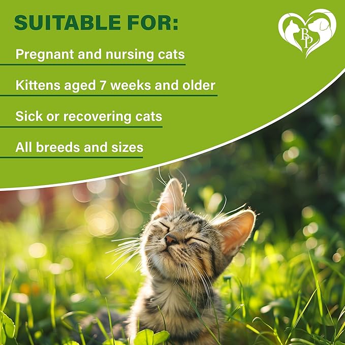 Natural Flea & Tick Collar for Cats - 6 Months Control of Best Prevention & Safe Treatment - Anti Fleas and Ticks Essential Oil Repellent (1 Pack)