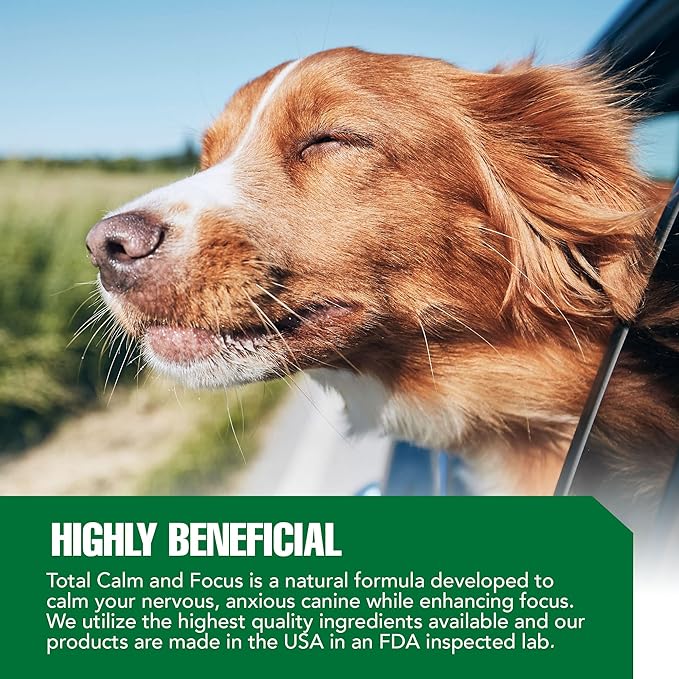 Ramard Total Calm & Focus Dog Treat Supplement - Natural Calming Chews with Magnesium & B-Vitamins - 45 Soft Chews for Canine Calmness During Training, Grooming, and Everyday Enjoyment