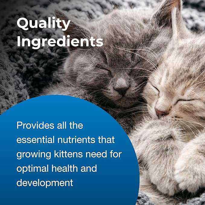 PetAg KMR Kitten Milk Replacer Powder - 12 oz - Powdered Kitten Formula with Prebiotics, Probiotics & Vitamins for Kittens Newborn to Six Weeks Old - Easy to Digest