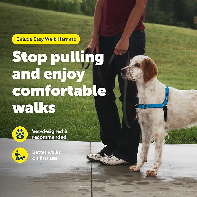 PetSafe Easy Walk Deluxe Dog Harness, No Pull Dog Harness – Perfect for Leash & Harness Training – Stops Pets from Pulling and Choking on Walks – Medium, Ocean