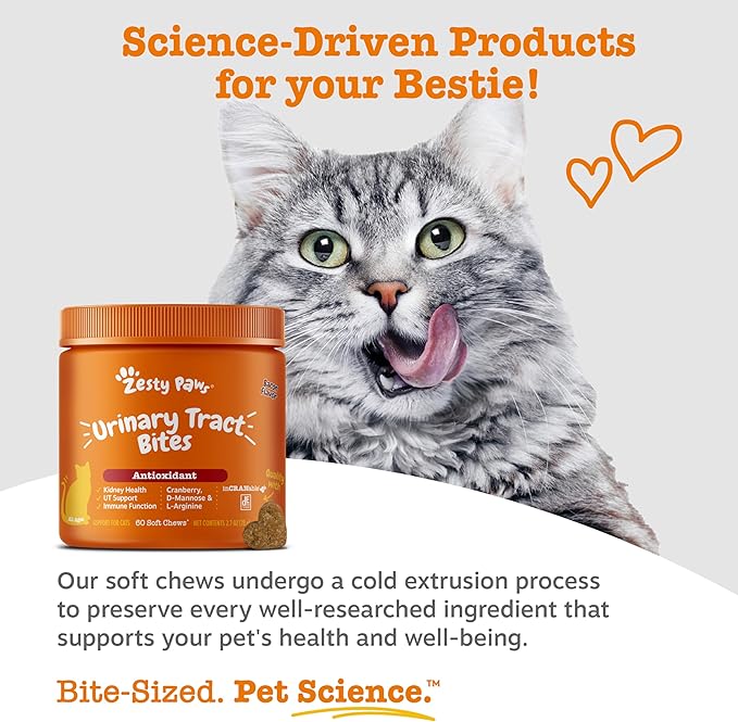Zesty Paws Cranberry Urinary Tract Bites for Cats - Kidney & Urinary Tract Health - Soft Chews with D-Mannose, Vitamin B6 & L-Arginine - Immune & Gut Support - Bacon - 60 Count