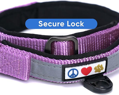 Pawtitas Lumberjack Padded Martingale Collar for Dogs | Soft Neoprene Dog Collar for Your pet's Comfort Made with Reflective Band for Maximum Visibility | Fits Small and Large Pets - Medium Orchid