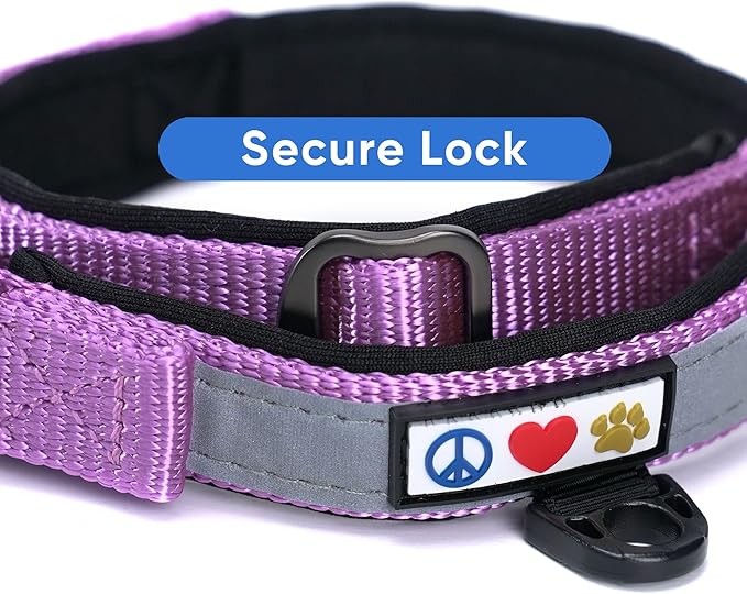 Pawtitas Lumberjack Padded Martingale Collar for Dogs | Soft Neoprene Dog Collar for Your pet's Comfort Made with Reflective Band for Maximum Visibility | Fits Small and Large Pets - Large Orchid