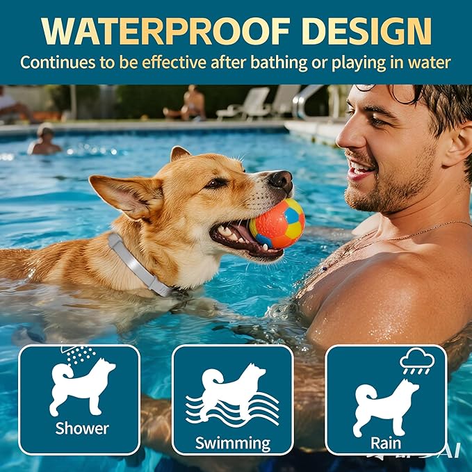 Flea and Tick Collar for Dogs – 12-Month Protection – Adjustable & Waterproof – Safe, Long-Lasting Repellent for Fleas, Ticks, Lice & Mosquitoes – Fits Small, Medium & Large Dogs 4pack