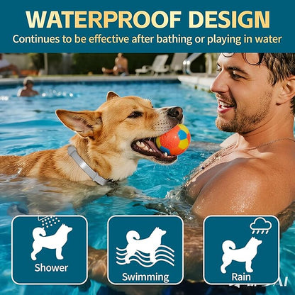 Flea and Tick Collar for Dogs – 12-Month Protection – Adjustable & Waterproof – Safe, Long-Lasting Repellent for Fleas, Ticks, Lice & Mosquitoes – Fits Small, Medium & Large Dogs 4pack