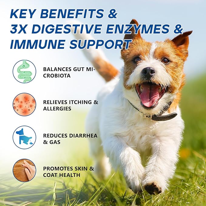 Probiotics for Dogs Dog Probiotic Chews for Yeast Gut Digestive & Immune Health, Itch Relief Ears Skin & Coat with 11Billion CFU Probiotics, 6 Enzymes& 4 Prebiotics, Pumpkin, Omegas & Vitamins,110ct
