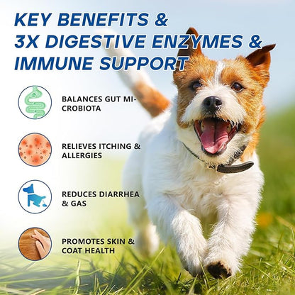 Probiotics for Dogs Dog Probiotic Chews for Yeast Gut Digestive & Immune Health, Itch Relief Ears Skin & Coat with 11Billion CFU Probiotics, 6 Enzymes& 4 Prebiotics, Pumpkin, Omegas & Vitamins,110ct