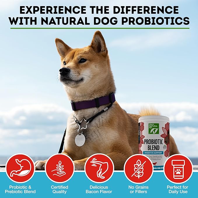 Only Natural Pet Probiotic Dog and Cat Supplement - Digestive & Gut Health Enzyme Formula, Puppy & Canine Digestive Chews, Best for Stomach Relief & Gas Aid - Soft Chews, 120 Count.