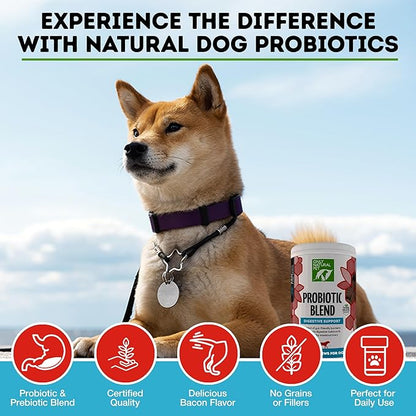 Only Natural Pet Probiotic Dog and Cat Supplement - Digestive & Gut Health Enzyme Formula, Puppy & Canine Digestive Chews, Best for Stomach Relief & Gas Aid - Soft Chews, 120 Count.