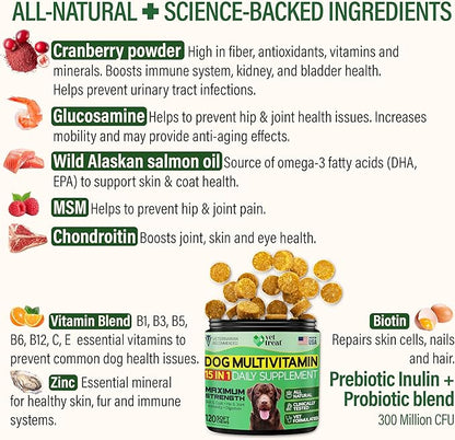 VET TREAT Dog Multivitamin Chewable with Glucosamine & Salmon Oil – Made USA – Puppy & Senior Supplement – 120 Chews– Daily Wellness Support for Joints, Immune System, Skin & Coat, Heart & Digestion