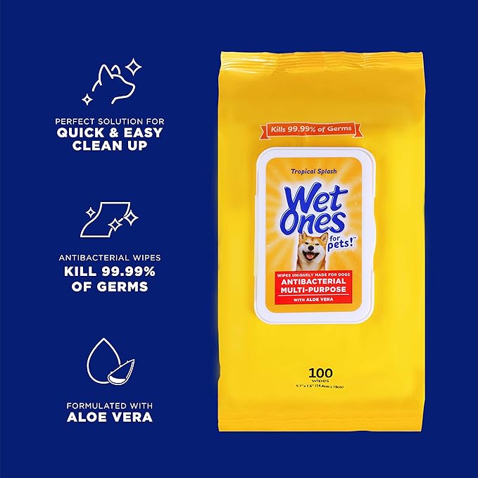 Wet Ones for Pets Multipurpose Dog Wipes with Aloe Vera, Tropical Splash Scent - Pet Bathing Wipes with Wet Lock Seal for Dog Paws & All Over Use, 100 Count - 12 Pack