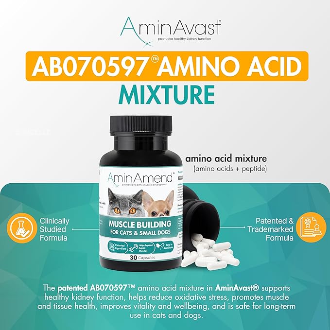 AminAvast Small Dogs & Cat Kidney Support - Promotes Healthy Kidney Support in Cats & Small Dogs - 300mg, 60 Capsule