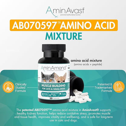 AminAvast Small Dogs & Cat Kidney Support - Promotes Healthy Kidney Support in Cats & Small Dogs - 300mg, 60 Capsule