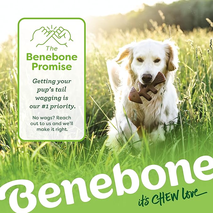 Benebone Medium 4-Pack Dog Toys for Aggressive Chewers – Durable Dog Bones, Made in USA – Dog Toys for Medium Dogs Under 60 lbs