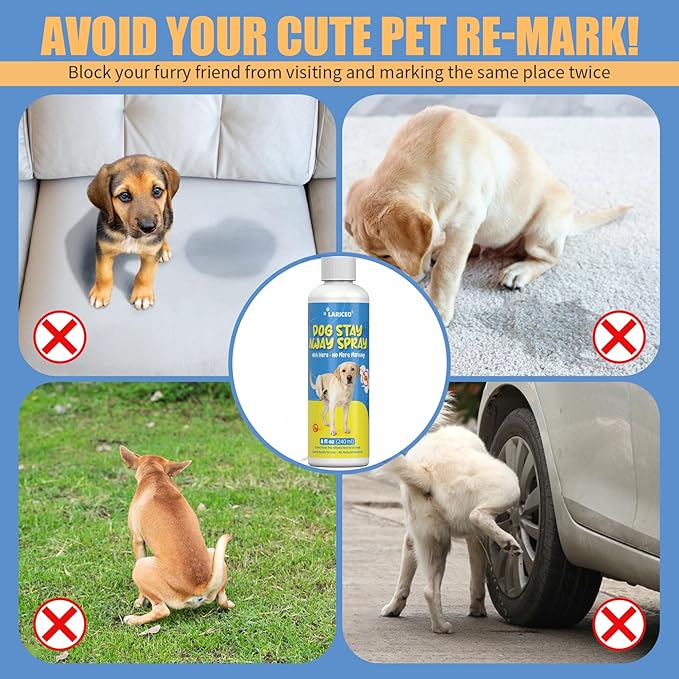 8 Oz not here Spray for Dogs Indoor, Effective Training Spray for Dogs to Stop Unwanted Marking and Messy Urination, Stop Unwanted Dog Marking Behavior