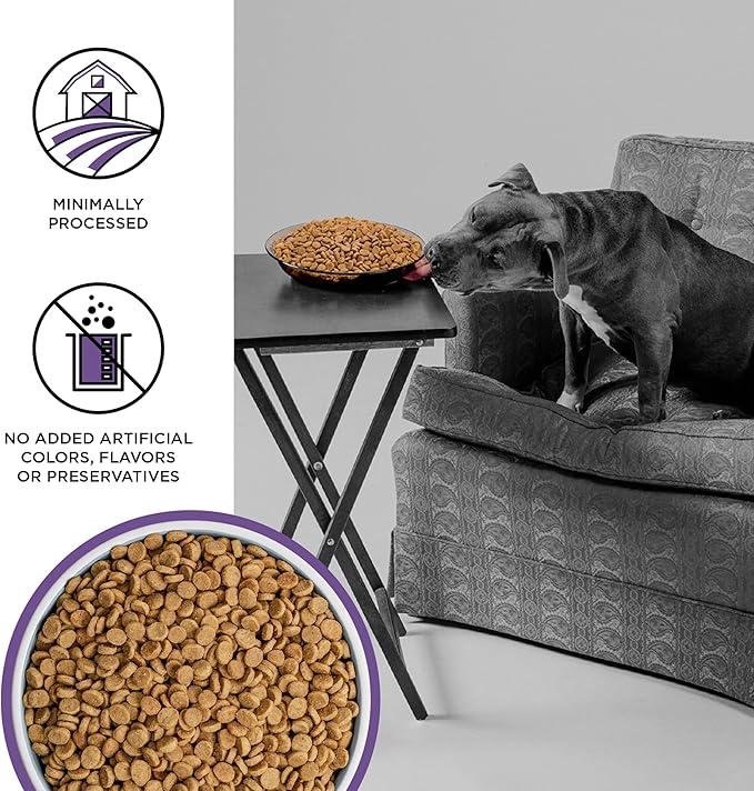 BIXBI Liberty Grain-Free Dry Dog Food, Lamb Recipe – Fresh Meat, High Protein, No Meat Meals – USA Made, 11 lbs