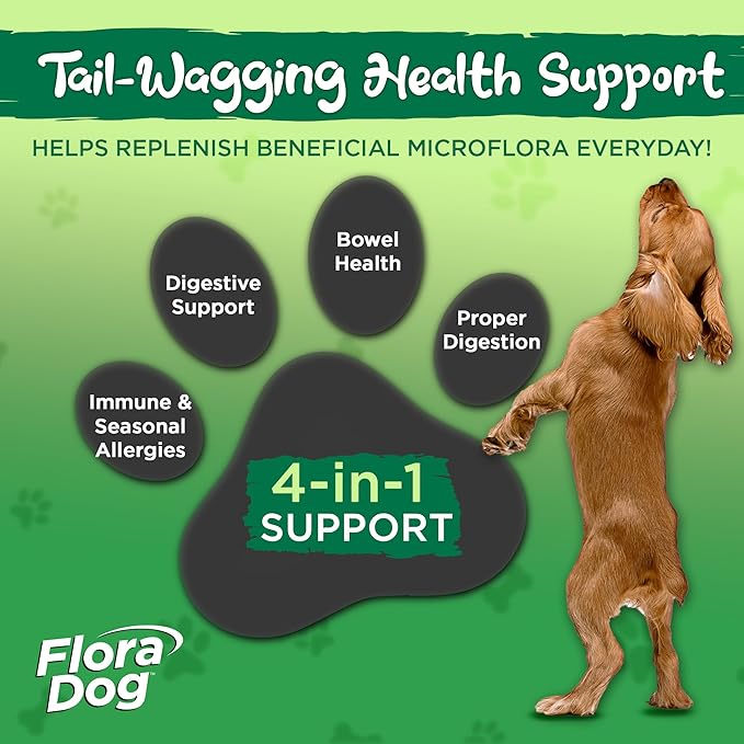 Vital Planet - Flora Dog Probiotic Chewable Tablets Supplement with 20 Billion Cultures and 10 Strains, High Potency Immune and Digestive Support Probiotics for Dogs, 60 Beef Flavored Chewable Tablets