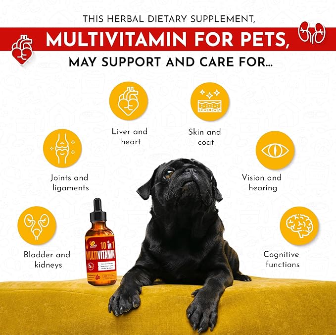 Multivitamin for Dogs & Small Pets with Glucosamine – Liquid B, C, D Dog Vitamins for Skin, Coat, Hips & Joints – Cat Vitamins for Indoor Cats Care for Urination, Breathing, Digestion – 2 oz Bottle
