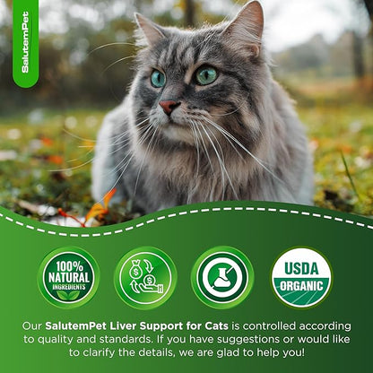 Сat Kidney Support | Milk Thistle for Cats | Herbal Supplement for Kittens & Adult Ones | Solution for All Breeds | Care for Liver | Сhicken Flavor | 2 Oz