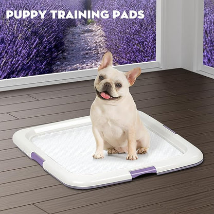 CROCI 22x22in Puppy Pads 100 Count with Adhesive Tabs, Dog Pads Absorbs Up to 3 Cups Potty Training, Disposable