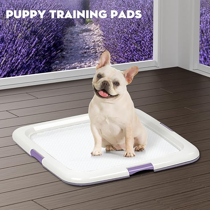 CROCI 22x22in Puppy Pads with Adhesive Tabs, Dog Pee Pads Absorbs Up to 3 Cups Potty Training, Disposable (50 Counts)