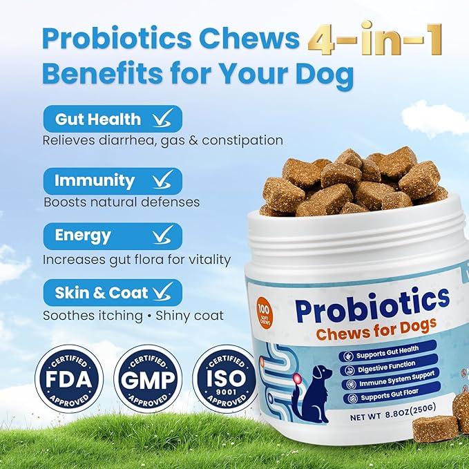 Probiotics for Dogs, Digestive Immune System Support Supplements Gut Health, Flora, Pet Dog Probiotic Supplement Soft Chews with Prebiotics for Allergy Upset Stomach, Puppy Probiotics