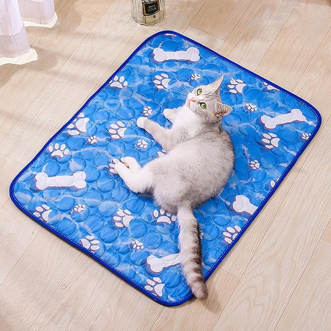 Puppy Pads with Pheromones, Training Pads for Dogs with 3 Random Color Bell Balls, Washable Pee Pads for Dogs, Reusable Puppy Pads with Pheromones, 40 x 30 cm Blue Pet Mat