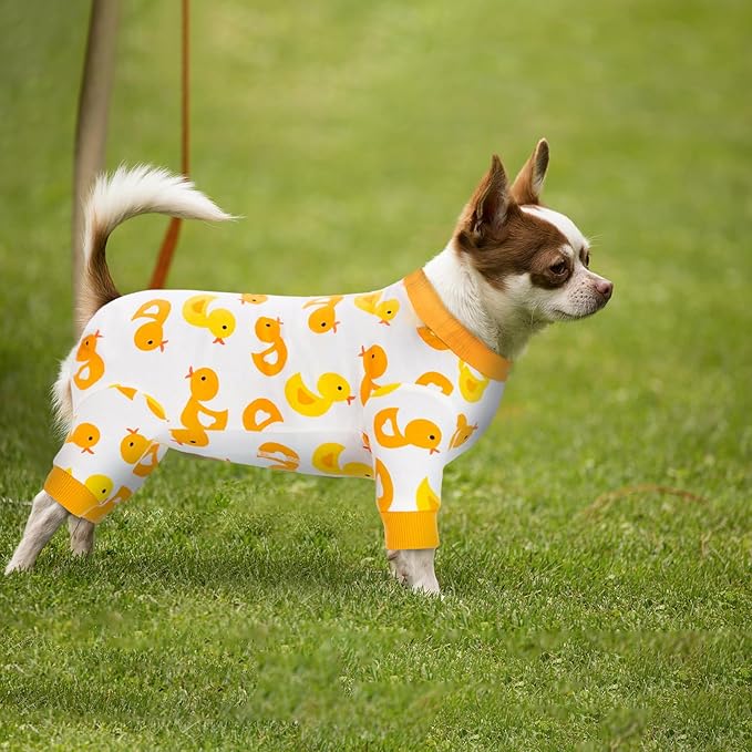 Dog Surgery Recovery Suit, Dog Onesie for Surgery Female Male Dogs, Dogs Pajamas Long Sleeve, Small Dogs Onesie, Abdominal Wound Bandages Surgical Suit, Cat Recovery Suit for Shedding Skin Disease