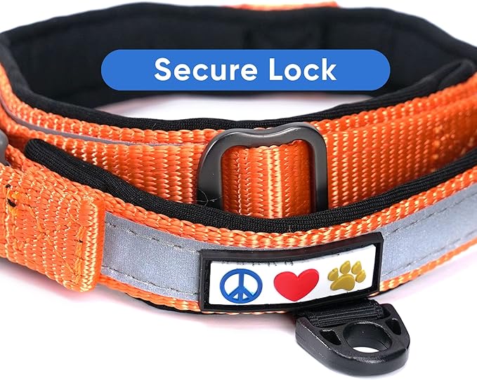 Pawtitas Lumberjack Padded Martingale Collar for Dogs | Soft Neoprene Dog Collar for Your pet's Comfort Made with Reflective Band for Maximum Visibility | Fits Small and Large Pets - XS Orange