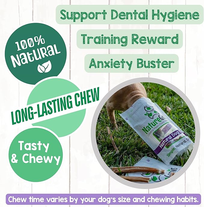 Nature Gnaws Extra Large Bully Sticks for Dogs 5-6" (6 Count) - Thick Long Lasting for Aggressive Chewers and Heavy Chewers - Natural Beef Dog Chew Bones